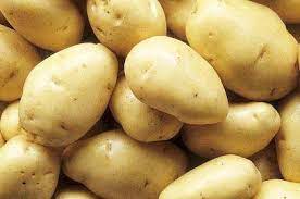 Frische Kartoffeln aus Polen, WhatsApp +48717353048 Qualitätskartoffel + Größe: